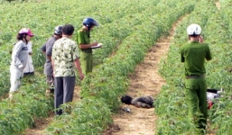 Chàng trai chết bí ẩn sau khi thăm người yêu, lời đồn oan nghiệt